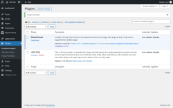 Page screenshot: Plugins &lsaquo; Test site &mdash; WordPress