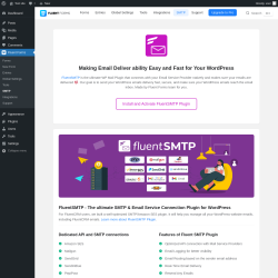 Page screenshot: Fluent Forms &rarr; SMTP