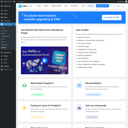 Page screenshot: Fluent Forms &rarr; Support