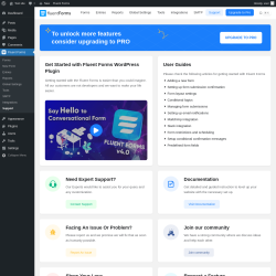 Page screenshot: Fluent Forms → Support