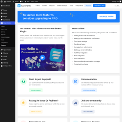 Page screenshot: Fluent Forms &rarr; Support