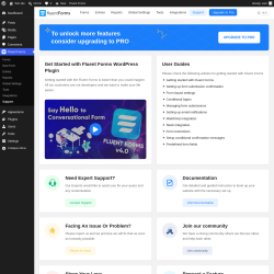Page screenshot: Fluent Forms &rarr; Support