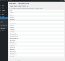Page screenshot: Tools &rarr; Folder Auditor &rarr; Main