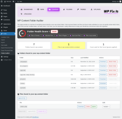 Page screenshot: Tools &rarr; Folder Auditor &rarr; 
        
        Content    