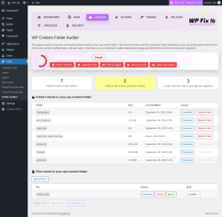 Page screenshot: Tools &rarr; Folder Auditor &rarr; 
        
        Content    