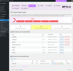 Page screenshot: Tools &rarr; Folder Auditor &rarr; 
        
        Content    