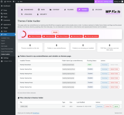 Page screenshot: Tools &rarr; Folder Auditor &rarr; 
        
        Themes    