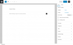 Page screenshot: Add New Post &lsaquo; Test site &mdash; WordPress