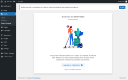 Page screenshot: Media &rarr; Media Cleaning