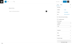 Page screenshot: Add New Post &lsaquo; Test site &mdash; WordPress