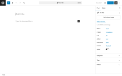 Page screenshot: Add New Post &lsaquo; Test site &mdash; WordPress