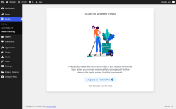 Page screenshot: Media &rarr; Media Cleaning