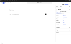 Page screenshot: Add Post &lsaquo; Test site &mdash; WordPress