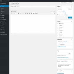 Page screenshot: Add New Post &lsaquo; Test site &mdash; WordPress