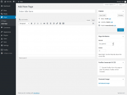 Page screenshot: Add New Page &lsaquo; Test site &mdash; WordPress