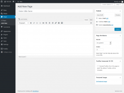 Page screenshot: Add New Page &lsaquo; Test site &mdash; WordPress