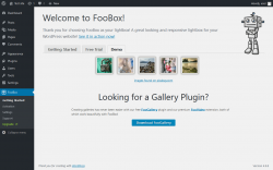Page screenshot: FooBox &rarr; 
			Demo		