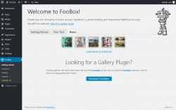 Page screenshot: FooBox &rarr; 
			Demo		