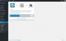 Page screenshot: FooBox &rarr; Activation