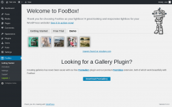 Page screenshot: FooBox &rarr; 
			Demo		