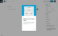 Page screenshot: Add New Page &lsaquo; Test site &mdash; WordPress