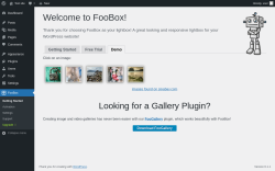 Page screenshot: FooBox &rarr; 
			Demo		