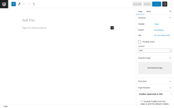 Page screenshot: Add New Page &lsaquo; Test site &mdash; WordPress