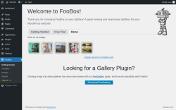 Page screenshot: FooBox &rarr; 
			Demo		