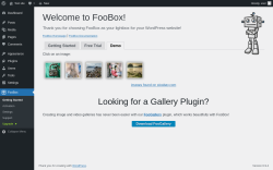 Page screenshot: FooBox &rarr; 
			Demo		