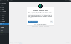Page screenshot: FooBox &rarr; Activation