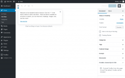 Page screenshot: Add New Post &lsaquo; Test site &mdash; WordPress