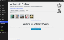 Page screenshot: FooBox &rarr; 
			Demo		