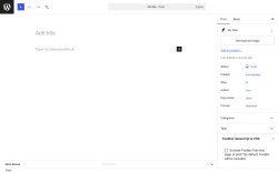 Page screenshot: Add Post &lsaquo; Test site &mdash; WordPress