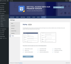 Page screenshot: Menus → Settings → Styling