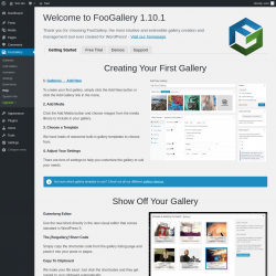 Page screenshot: FooGallery &rarr; Help