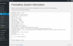Page screenshot: FooGallery &rarr; System Info