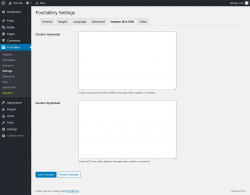 Page screenshot: FooGallery &rarr; Settings &rarr; Custom JS & CSS