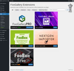 Page screenshot: FooGallery &rarr; Extensions