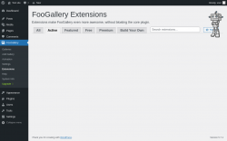 Page screenshot: FooGallery &rarr; Extensions &rarr; Active
