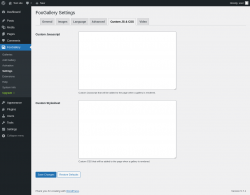 Page screenshot: FooGallery &rarr; Settings &rarr; Custom JS & CSS