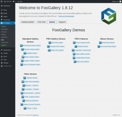 Page screenshot: FooGallery &rarr; Help &rarr; 
				Demos			