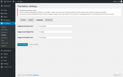 Page screenshot: FooGallery &rarr; Settings &rarr; Language