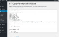 Page screenshot: FooGallery &rarr; System Info