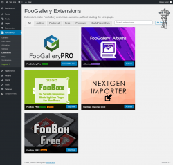Page screenshot: FooGallery &rarr; Extensions