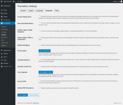 Page screenshot: FooGallery &rarr; Settings &rarr; Advanced