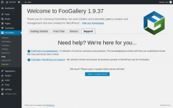 Page screenshot: FooGallery &rarr; Help &rarr; 
			Support		