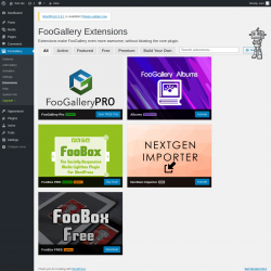 Page screenshot: FooGallery &rarr; Extensions