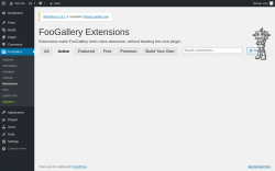 Page screenshot: FooGallery &rarr; Extensions &rarr; Active
