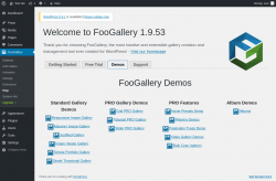 Page screenshot: FooGallery &rarr; Help &rarr; 
				Demos			