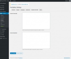 Page screenshot: FooGallery &rarr; Settings &rarr; Custom JS & CSS